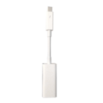 Apple Thunderbolt to FireWire Adapter