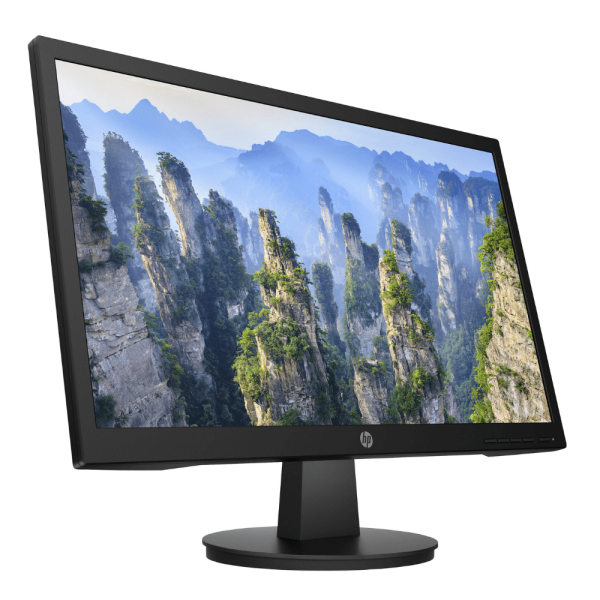 HP V22i LED FHD Monitor