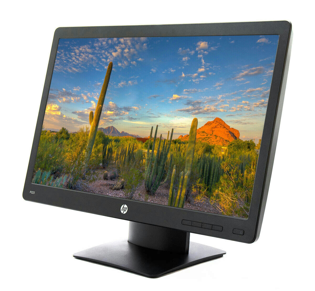 HP PRODISPLAY P223 21.5